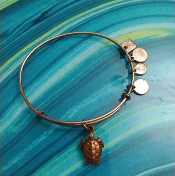 Alex and Ani Sea Turtle Charm Bracelet - Picture 6 of 13
